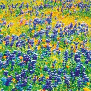 Meet your Posher, Kayti